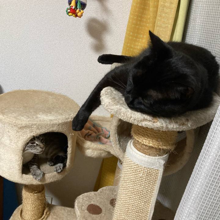 9d429d75 8d5d 42e2 b579 b99c1c7ed03e 1761576903596