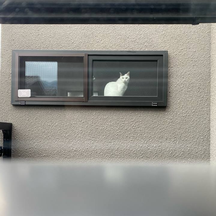 9d42b33c 94f3 43f6 ac28 a06876ea72bd 1752500018201