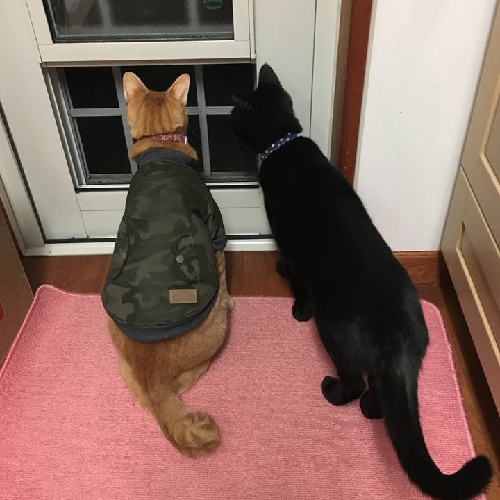 9d42dc04 3431 4034 9fba d3f71db569f6 1514547732081