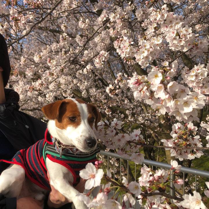 9d42ef5e 368f 4ac5 bb97 ecfa9616c285 1585647534295