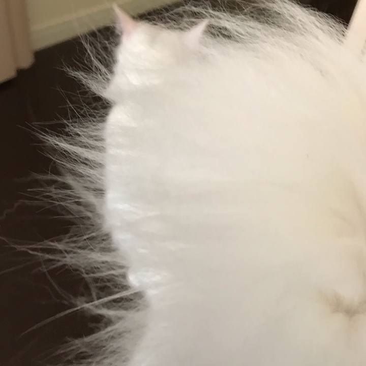 9d43434a 9084 42b7 9421 d028127fe0cf 1553418853106