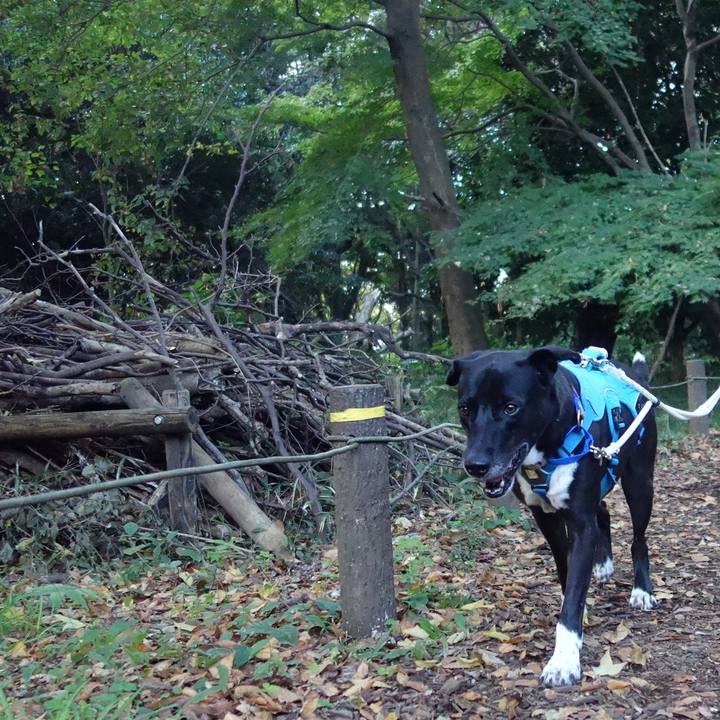 9d43586d 8081 4e1d 9449 666be747b115 1635902060704