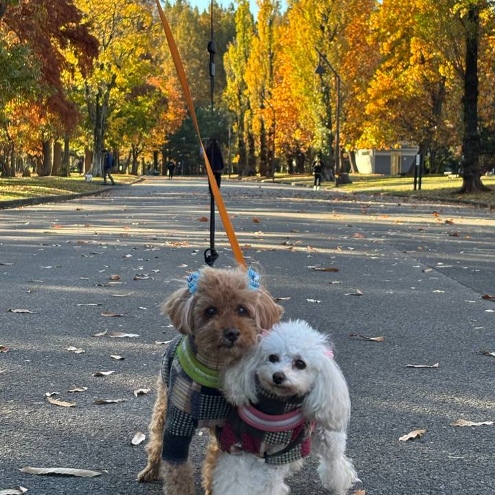 9d439e95 0ab7 4d5b aef2 667cd550c331 1764062518339