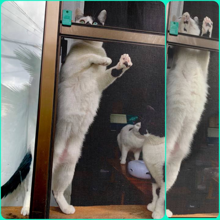 9d43a745 8b66 4bd1 b06e 4cdd228011ac 1582496713985