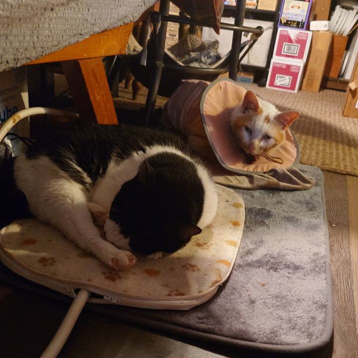 9d43dbbf 70c7 4934 b6b8 dc90a71b396e 1760441292235