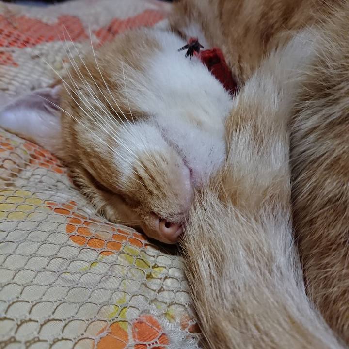 9d43e584 35da 43f5 961d 19b97c0f7633 1572179157351