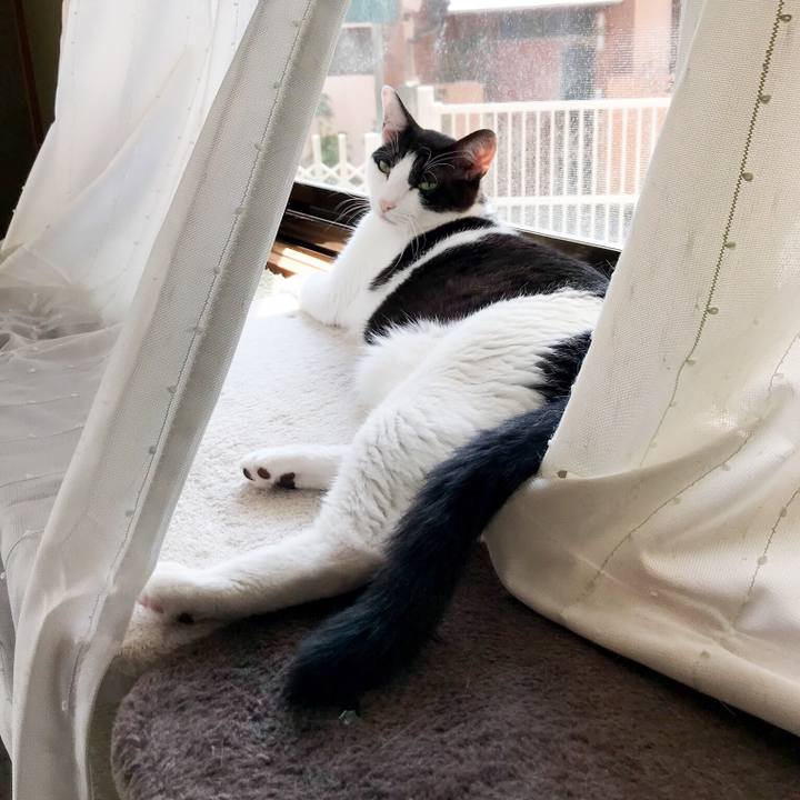 9d43ebfb 295f 4822 8ab4 b9e78b5a8ce3 1531705281706