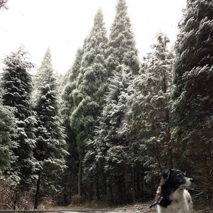 9d442635 128a 4b44 bc24 85018fc111ce 1512721043146