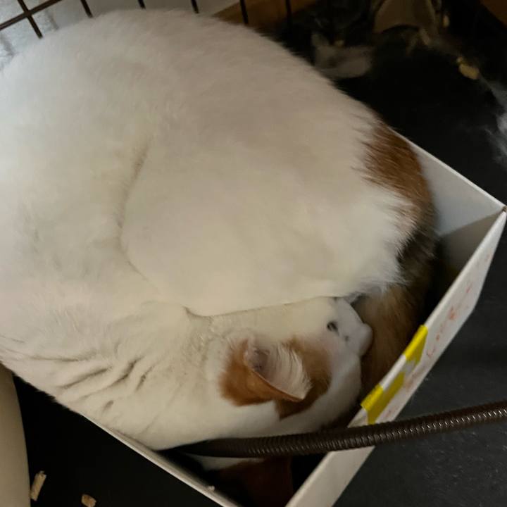 9d445761 6344 466b b0cd ce643e348d17 1763648819381