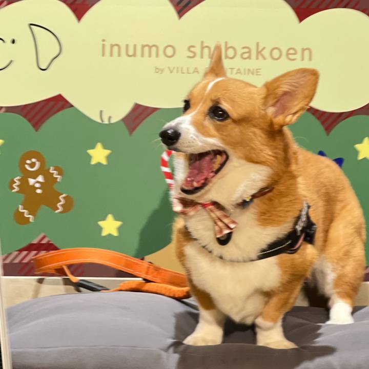9d446538 fa64 4022 a347 dcbd60c190ec 1670057121558