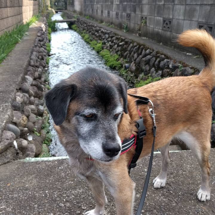 9d4477b8 baba 45bf ac6e b6893546f40c 1510274029242