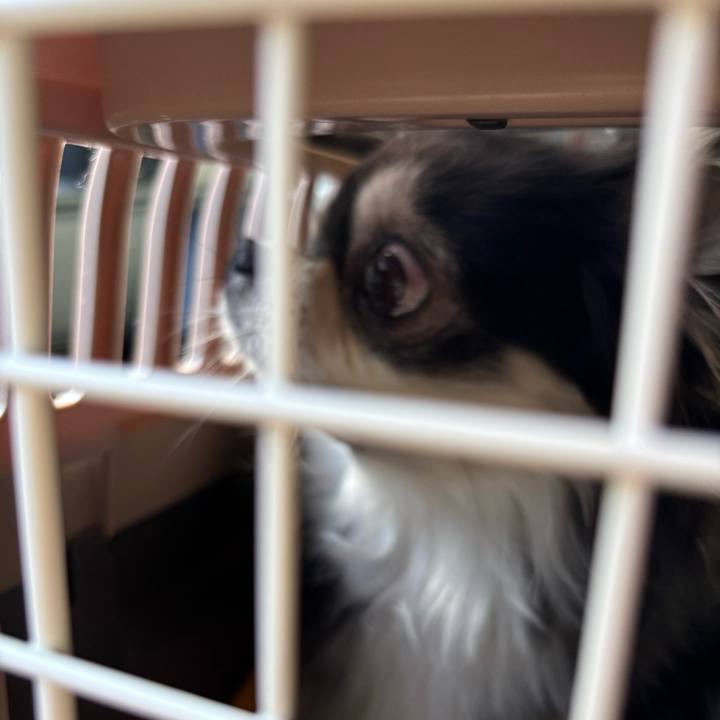 9d44a6b4 dde3 42f8 b3de a97e841bb972 1765647349702