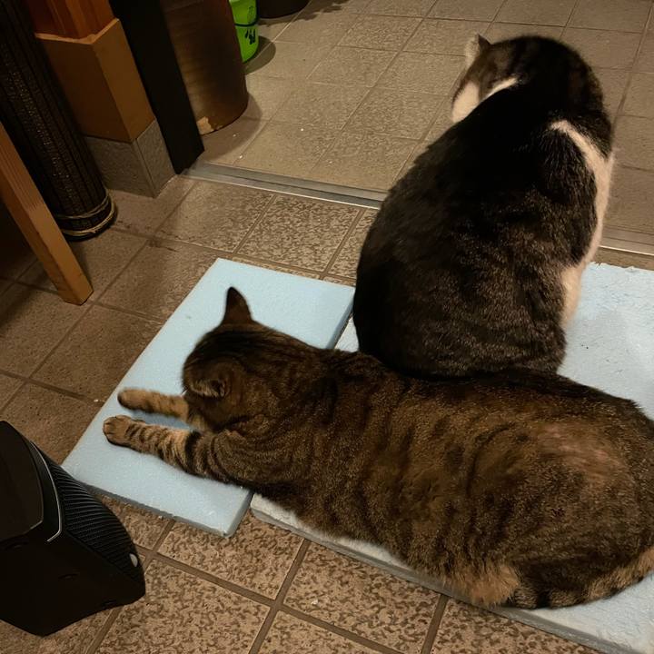 9d44a837 409a 4c12 9a9b 24d17b9fa52c 1612526733963