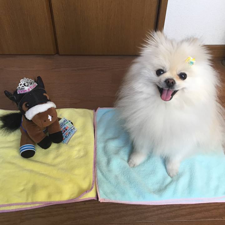 9d44bb78 0a19 4ffc 9101 97e5d9291249 1589692116832