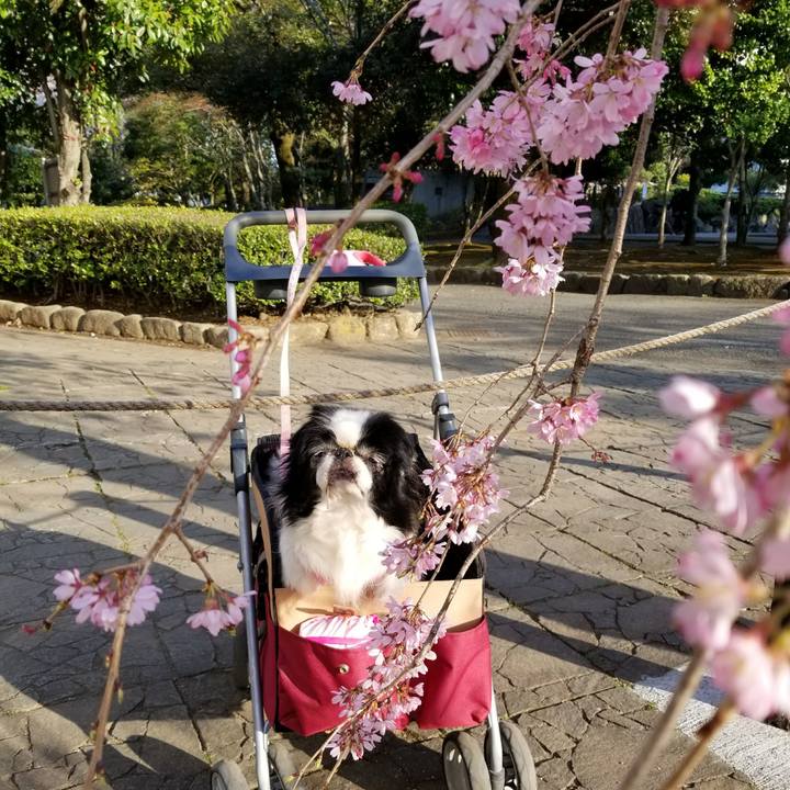 9d44f1b6 7cfe 4e22 b380 63cf2ec3b5ae 1521975274409