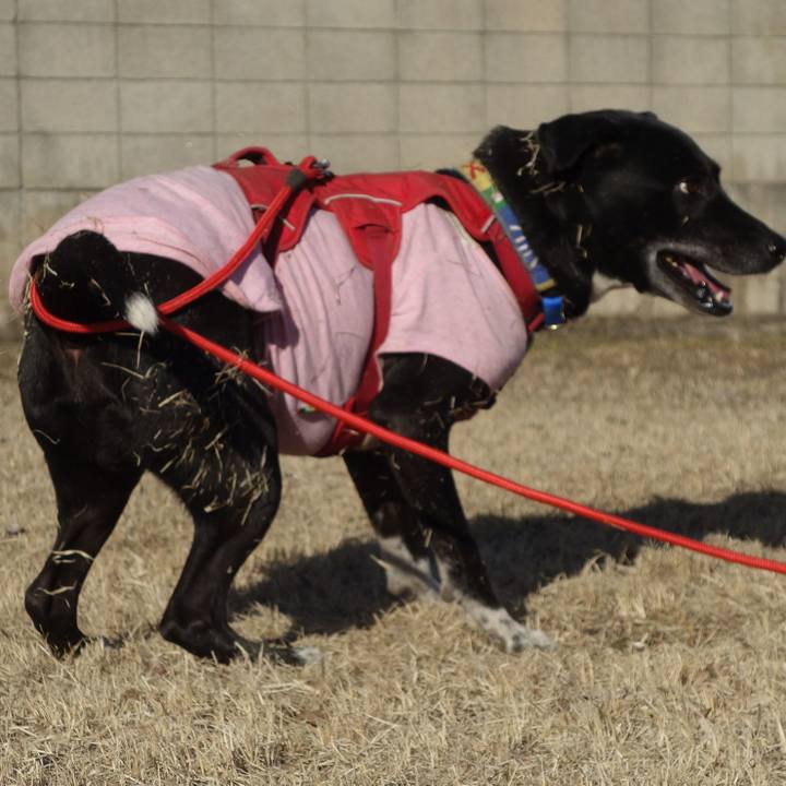 9d450d93 fcc1 413a bce5 efe0a1ed2a93 1676860391749