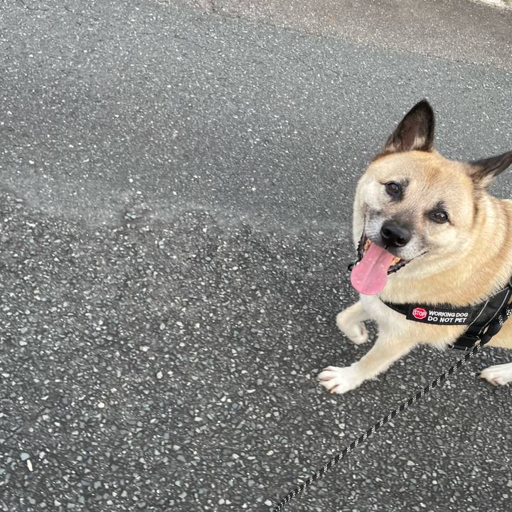 9d451233 f115 4e0e aa67 e11d107bd29f 1721824961234