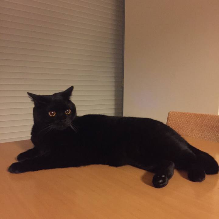 9d451935 2e2c 484d 9b7d de01897efce1 1527682708660