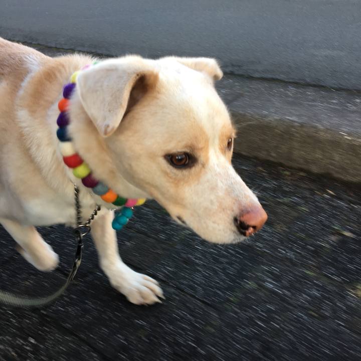 9d451f3e 69c8 41dd ba18 0addb7d1bbe6 1514157560194