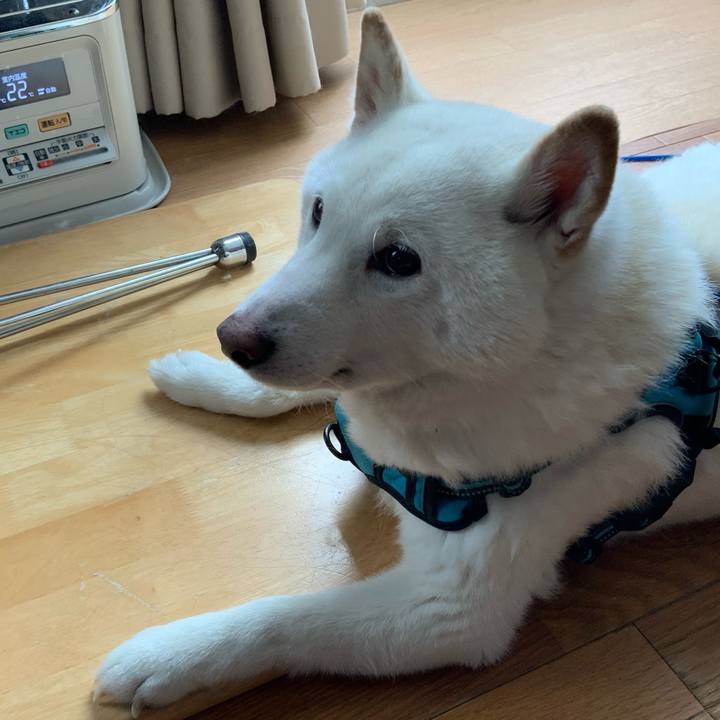 9d453bb8 17c2 4dbc 8f91 4c1241ef2893 1738456285481