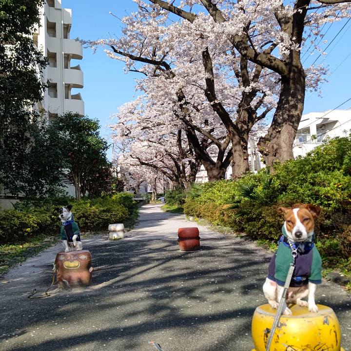 9d454480 bdbc 4857 9e90 b019b1042318 1616712693692