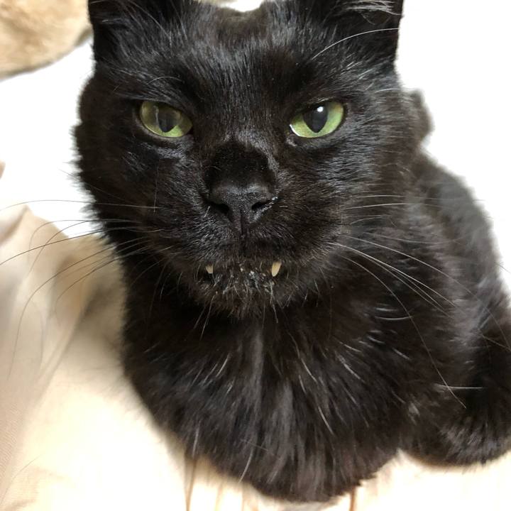 9d4564a7 8d46 40aa 9d76 4ef4a9304372 1633954686813