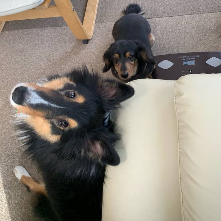 9d457cc7 3e28 4e72 a288 1946f3a751bf 1586644566115