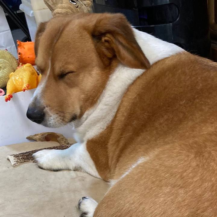 9d458158 5100 4180 b16a 1ecd56ed0de0 1686787025939