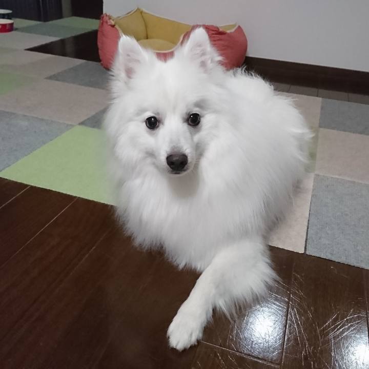 9d45a0c6 3b2b 4563 907d a2b780a96f6b 1583920501461