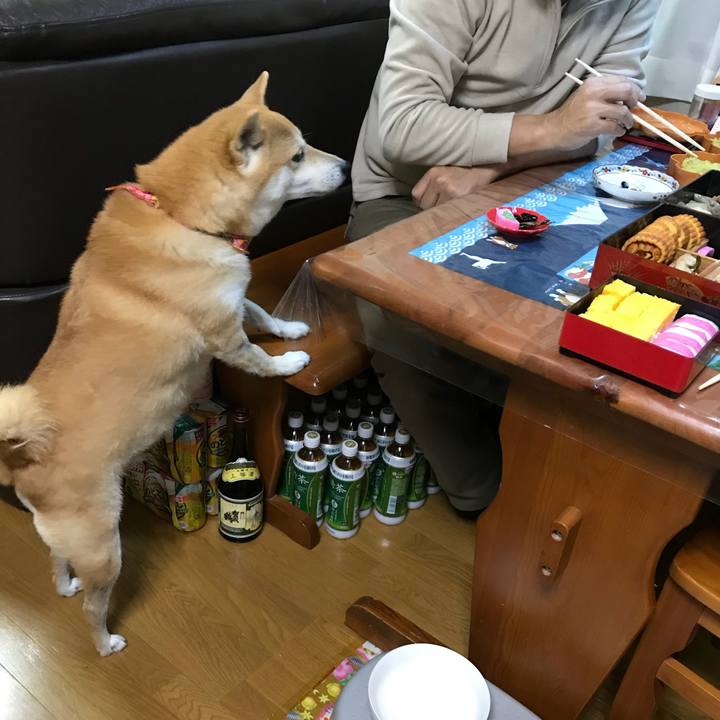 9d45b98b a0f3 400d 9edb 4617dd0250d3 1515114560093