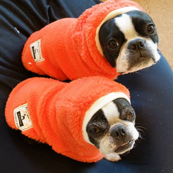 9d45ba0d 3d85 4241 95e0 ce12b6817f86 1513035158647