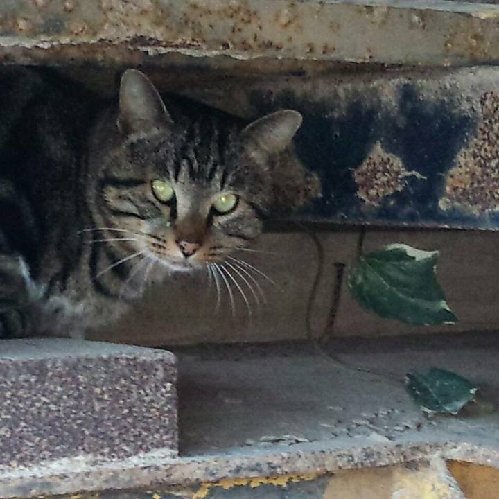 9d45e69b 4d75 43c9 b8ba 51bfd7db6c9f 1511588502304