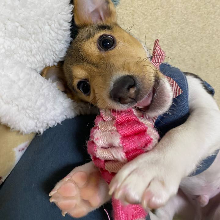 9d45f3d1 f8e1 4b6f 955b dbdea8d6ef3a 1744060729120