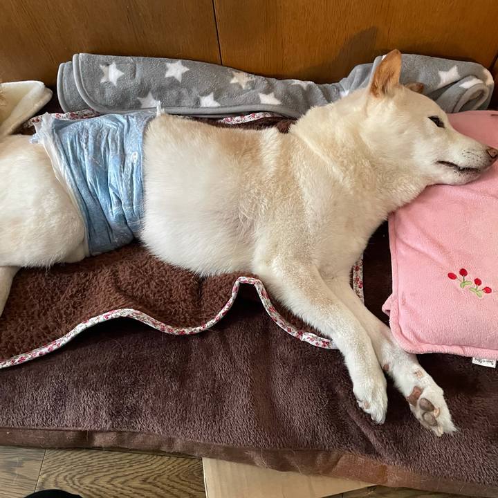 9d462174 aa69 4b36 ae08 7e085a237cc5 1640585871744