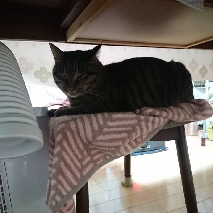 9d462cfb e038 436e 88b9 651e38dfe45d 1639171059349