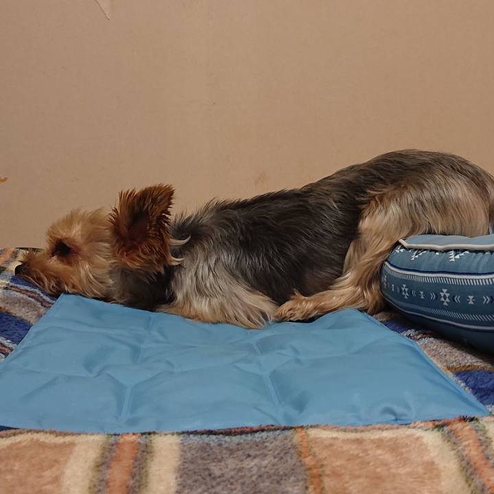 9d46af2d 4ab1 45a6 baea d06141384c81 1570541763295