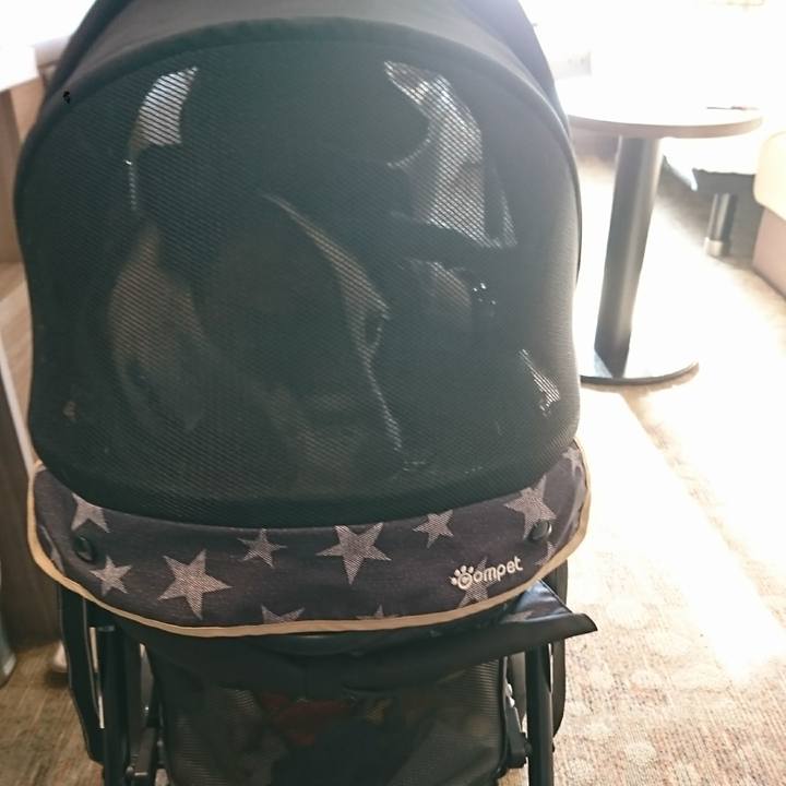 9d46b1ef a998 4302 91d4 42ed062dfbfb 1606349043261