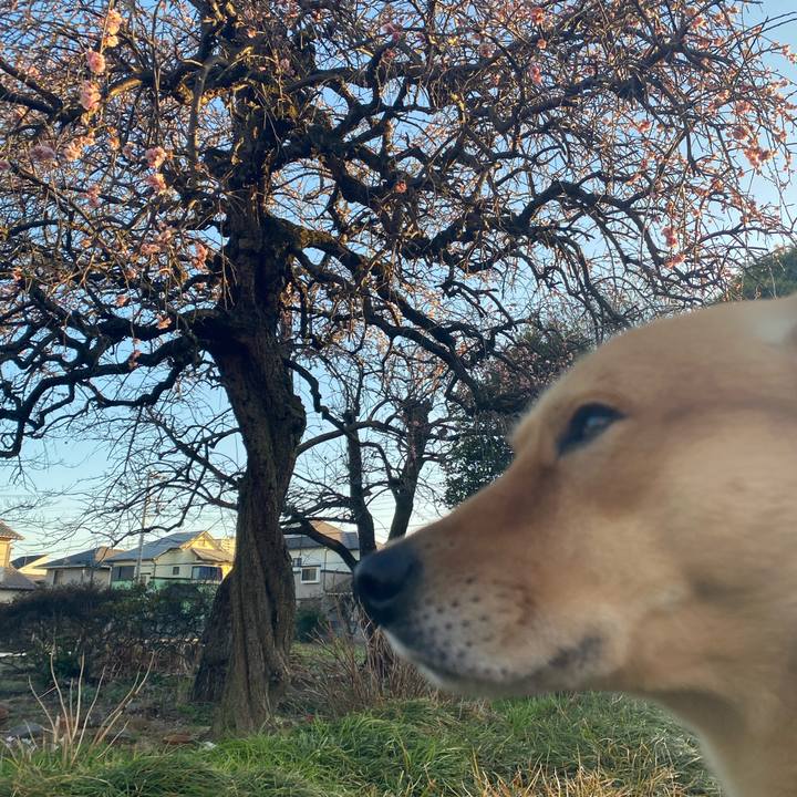 9d46d32d d47a 40db adad 988998f2f344 1710058447455