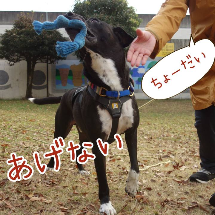 9d46db0b 63a5 4aa5 a4cc 44cf8784e34e 1638839841266