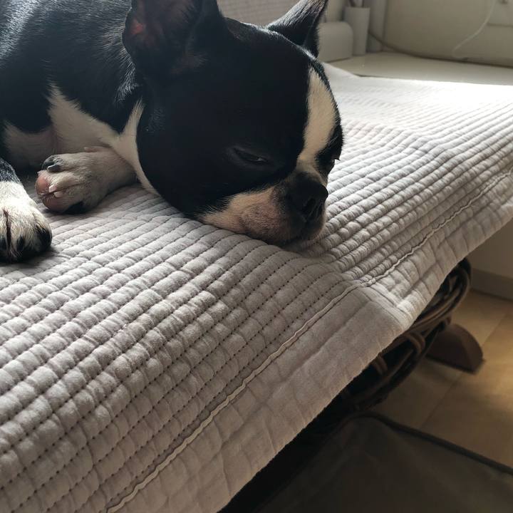 9d46def8 93bc 414a ab48 e98a6094481d 1553990105447