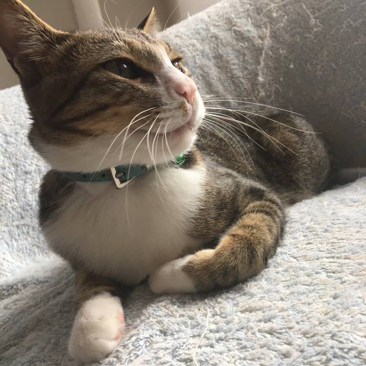 9d46ee0c 6663 4664 9b03 384fb45fc941 1666699798237