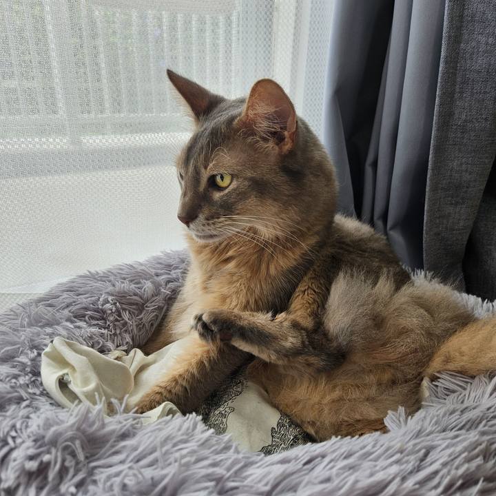 9d46ee10 742f 4702 8e04 7159933b17e8 1720233438859