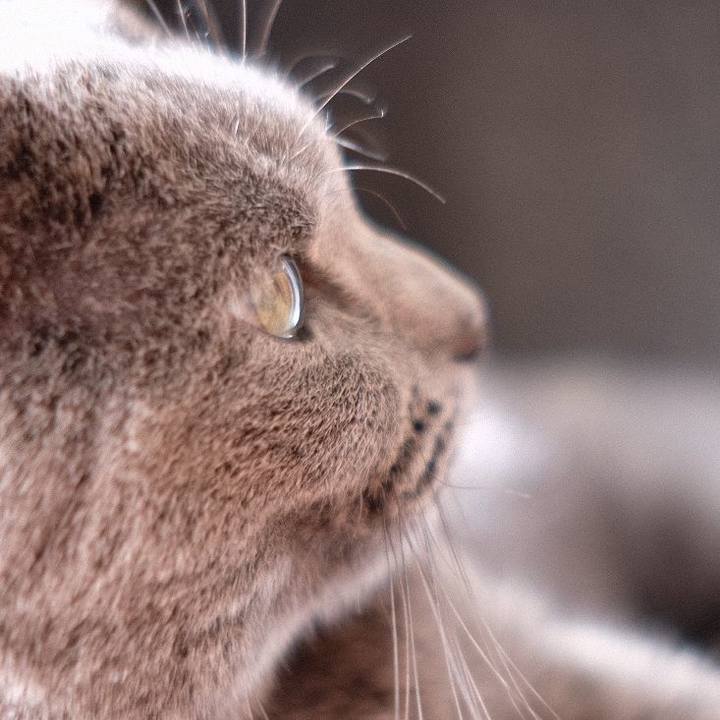 9d46f280 2086 451c 8fac 1d8e36059364 1576396892043