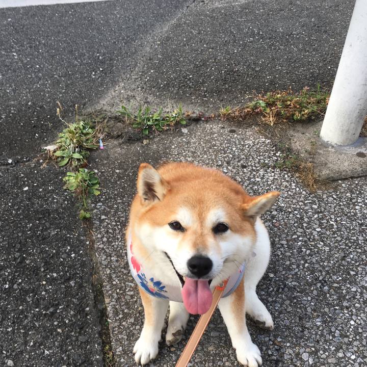 9d46fd67 cecb 4edb 9c05 52d3139656ba 1566081094955