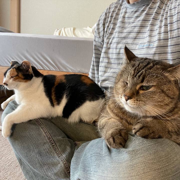 9d4707df 7af4 4578 b629 1e971b7cef9f 1617407294222