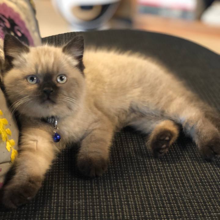 9d470855 7ec6 4fb0 ab09 31d63f085d74 1586044930635