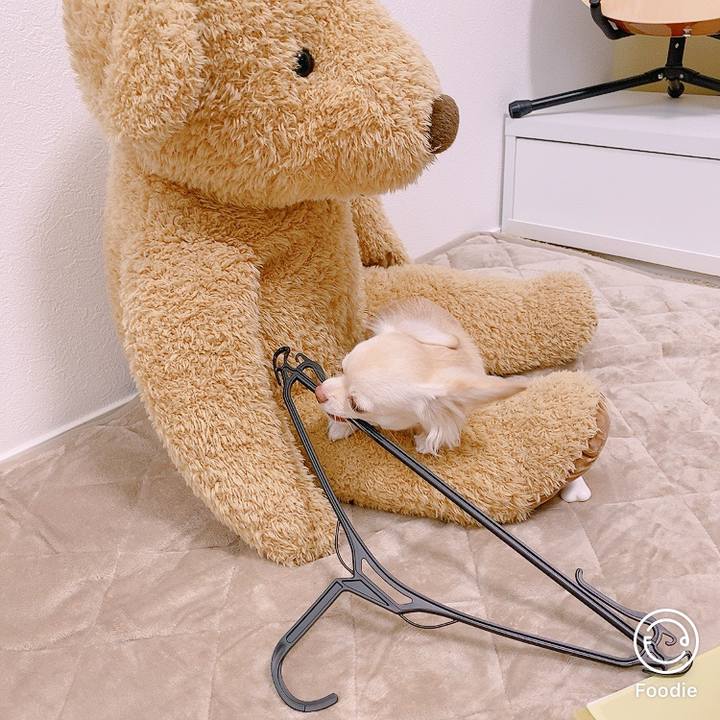 9d4728ff cd04 4bf1 9f18 467db7353036 1605702995184