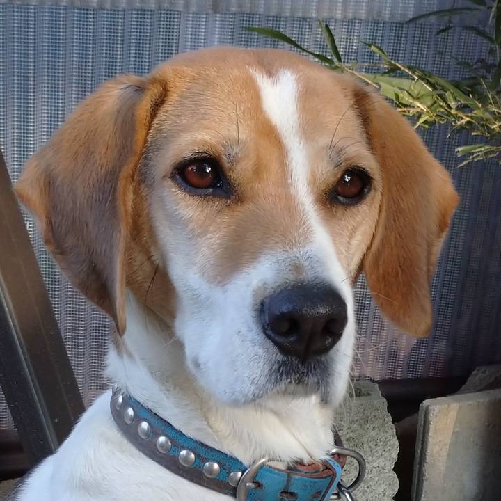 9d4742c9 89e3 4e66 bc97 5741ff8b39b6 1610892127872