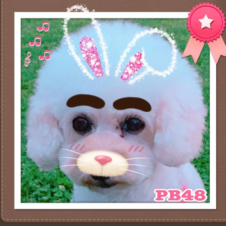 9d476599 233c 4982 b28f eb15462fb92d 1507718145570