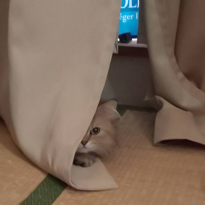 9d47b97a 0a11 435f add9 e51238e69a91 1621910131063